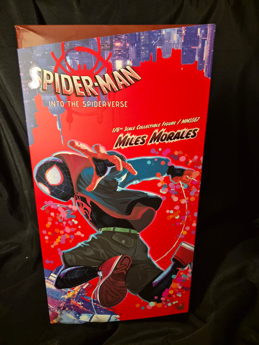 Hot Toys 1/6 MMS567 Miles Morales Figure Spider-Man Into the Spider-Verse