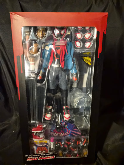 Hot Toys 1/6 MMS567 Miles Morales Figure Spider-Man Into the Spider-Verse