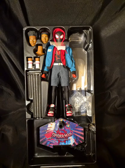 Hot Toys 1/6 MMS567 Miles Morales Figure Spider-Man Into the Spider-Verse